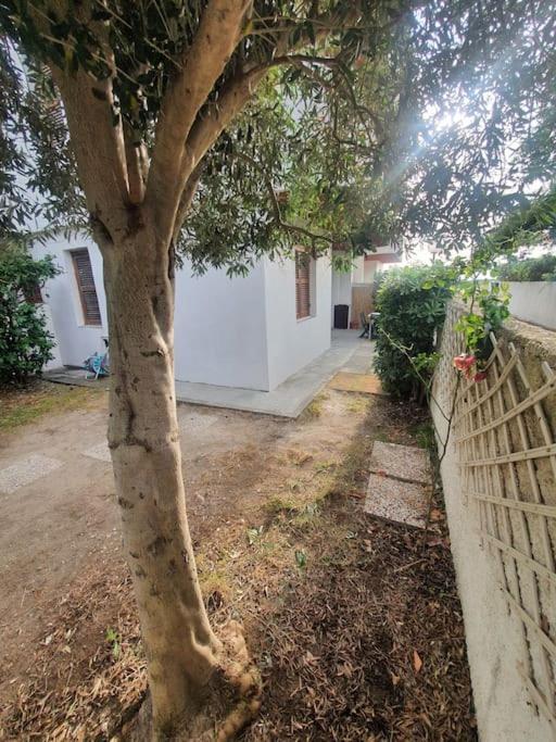 Ccc Holiday Properties Le Vele Ccc مونتالتو دي كاسترو المظهر الخارجي الصورة