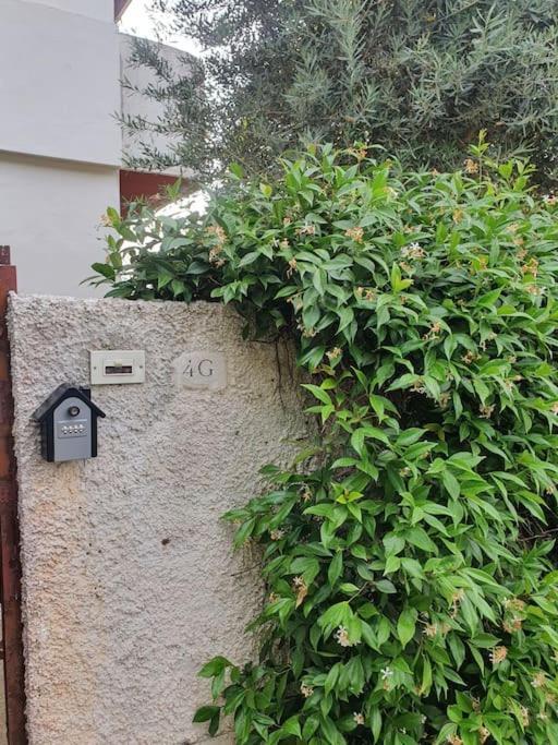 Ccc Holiday Properties Le Vele Ccc مونتالتو دي كاسترو المظهر الخارجي الصورة