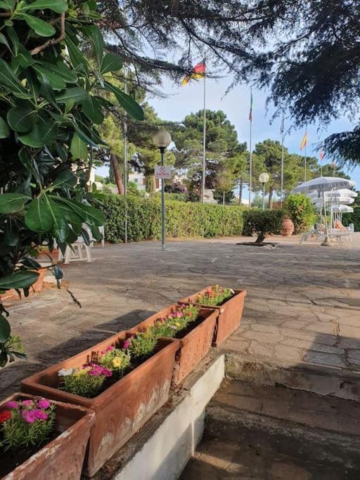 Ccc Holiday Properties Le Vele Ccc مونتالتو دي كاسترو المظهر الخارجي الصورة